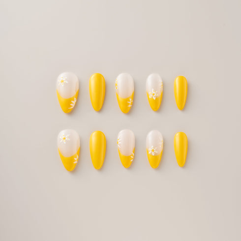 Sunshine Daisy French Tips - Long, Almond