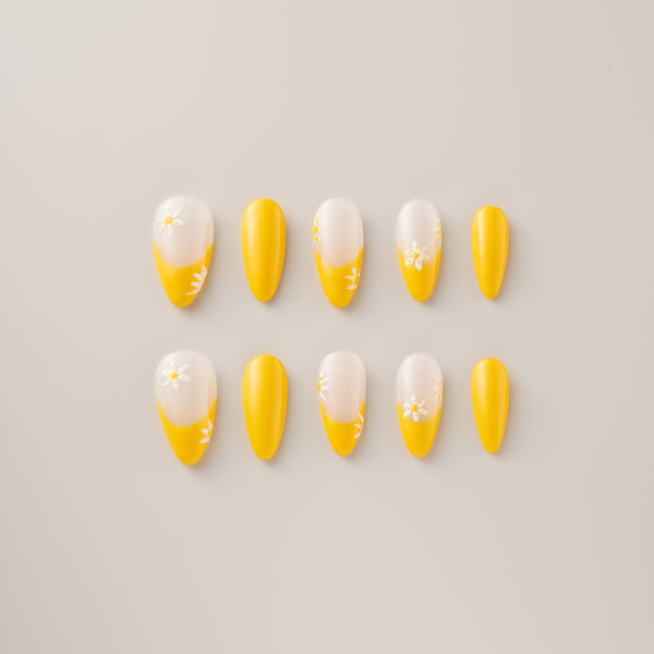 Sunshine Daisy French Tips - Long, Almond