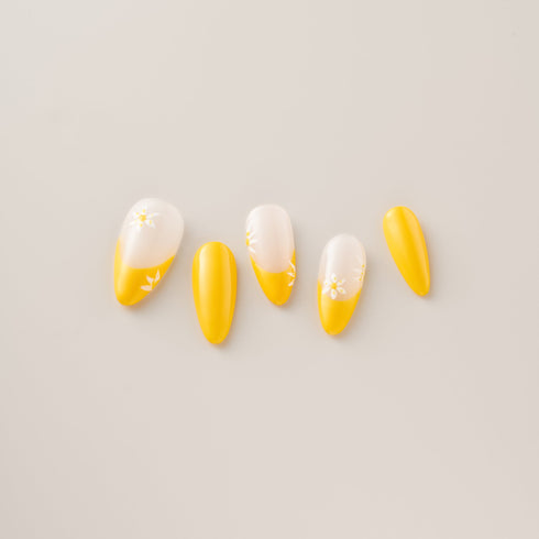 Sunshine Daisy French Tips - Long, Almond